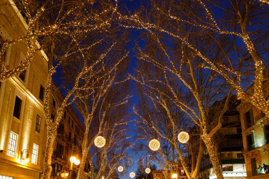 Magical Christmas Adventures for Families Driving Through Palma de Mallorca